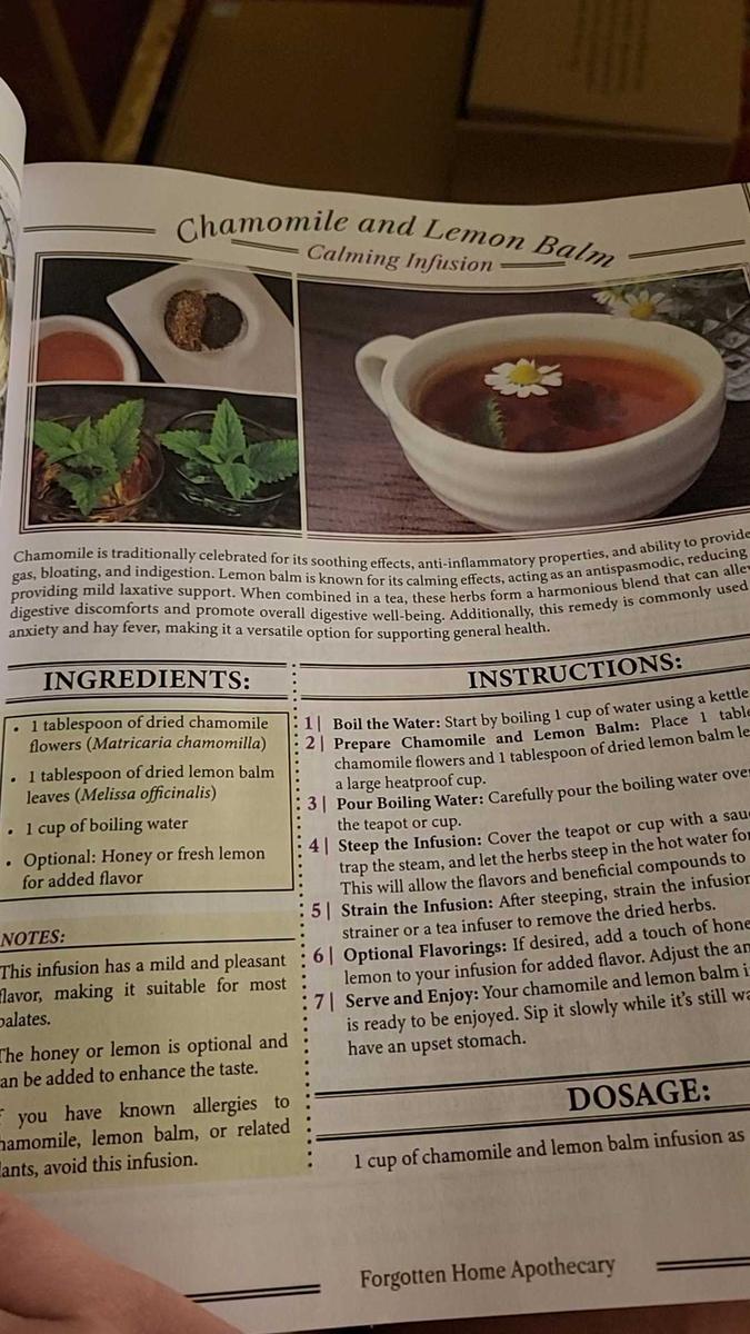 Forgotten Home Apothecary : 250 Powerful Remedies at Your Fingertips